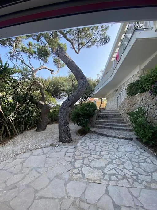 Cap D Antibes Villa Contemporaine Pied Dans L Eau France